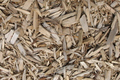 biomass boilers Bargrennan